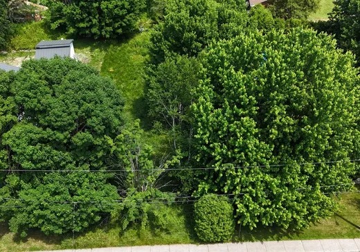 Terrain à vendre -  Av. du Parc, Waterloo, J0E 2N0