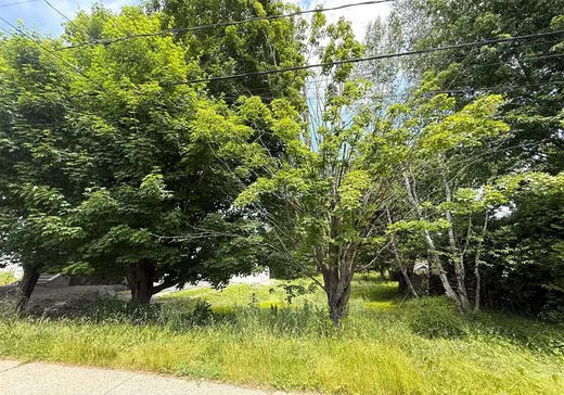Terrain à vendre -  Av. du Parc, Waterloo, J0E 2N0