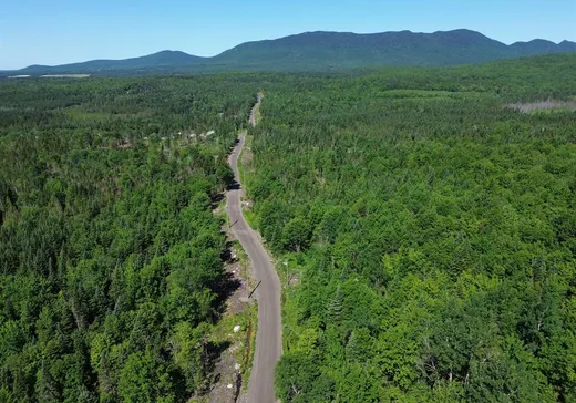 Terrain à vendre -  1er Rang, App. 101, Notre-Dame-Des-Boies, J0B 2E0