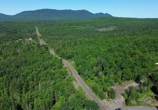 Terrain à vendre -  1er Rang, App. 103, Notre-Dame-Des-Boies, J0B2E0