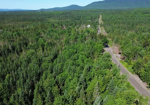Terrain à vendre -  1er Rang, App. 1-2-3, Notre-Dame-Des-Boies, J0B 2E0