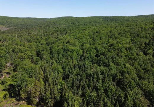 Terrain à vendre -  1er Rang, App. 1-2-3, Notre-Dame-Des-Boies, J0B 2E0