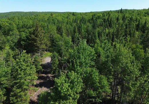 Terrain à vendre -  1er Rang, App. 1-2-3, Notre-Dame-Des-Boies, J0B 2E0