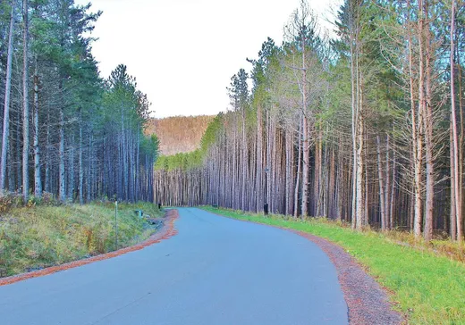Terrain à vendre -  Ch. des Basques, Saint-Sauveur, J0R 1R7