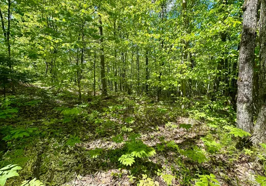 Terrain à vendre - 522 Ch. du Ruisseau, Val-des-Monts, J8N 1E9