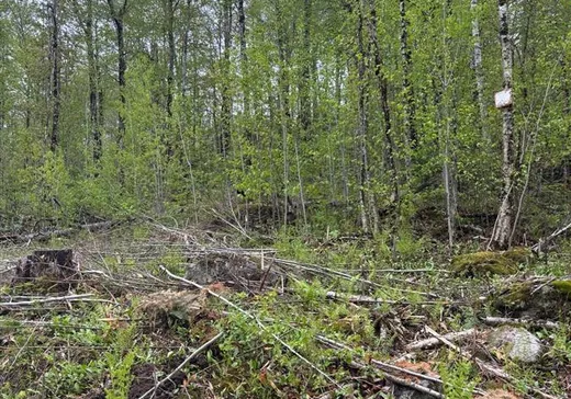 Terrain à vendre - 19 Ch. des Gros-Becs, Mont-Tremblant, J0T 1J2