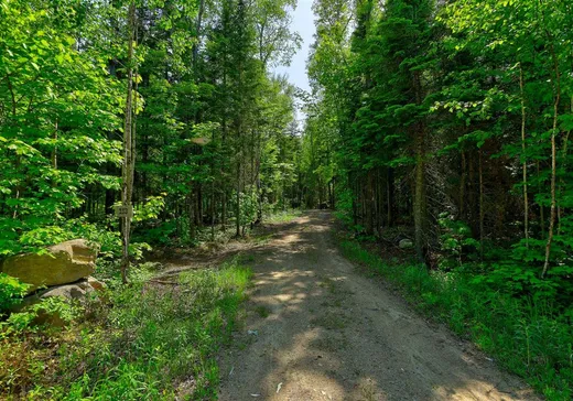 Terrain à vendre -  Ch. du Lac-Rochemaure, St-Donat-De-Montcalm, J0T 2C0