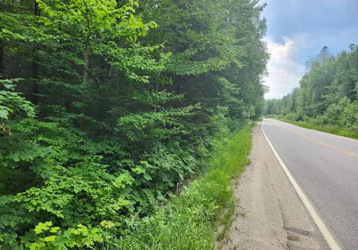 Land for Sale -  Route 307, Val-des-Bois, J0X 3C0