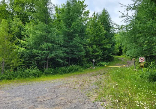 Land for Sale -  Av. Wexford, Chertsey, J0K 3K0