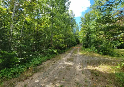 Terrain à vendre -  Av. Wexford, Chertsey, J0K 3K0