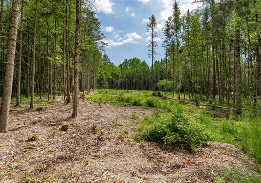 Land for Sale - 235 Ch. du Domaine, Repentigny, J0B 2P0