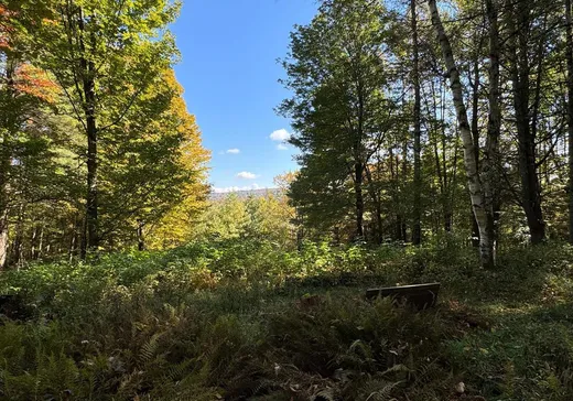 Land for sale -  Ch. de l'Élysée, Canton De Stanstead, J0B1T0