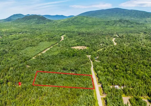 Terrain à vendre -  Ch. des Bouleaux, Lac-Mégantic, J0B1Y0