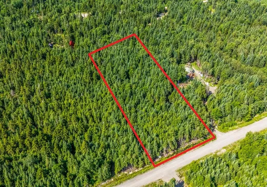 Land for Sale -  Ch. des Bouleaux, Lac-Mégantic, J0B 1Y0