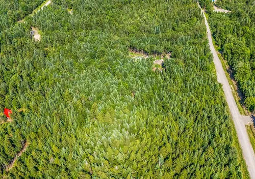 Land for Sale -  Ch. des Bouleaux, Lac-Mégantic, J0B 1Y0