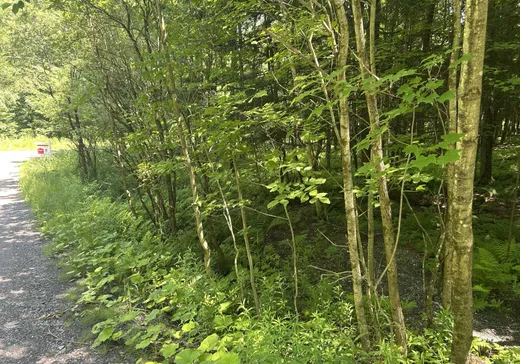 Land for Sale -  Rue Owl, Knowlton, J0E 1V0