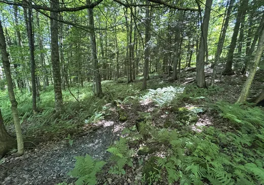Land for Sale -  Rue Owl, Knowlton, J0E 1V0