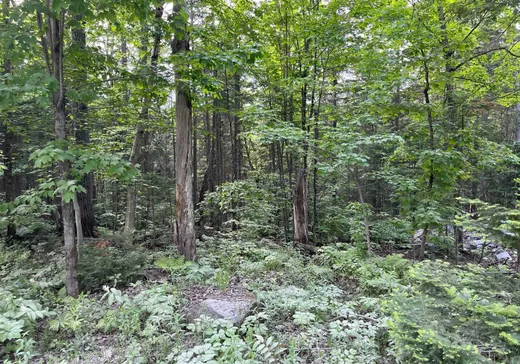 Land for Sale -  Ch. du Val-des-Monts, St-Adolphe d'Howard, J0T 2B0