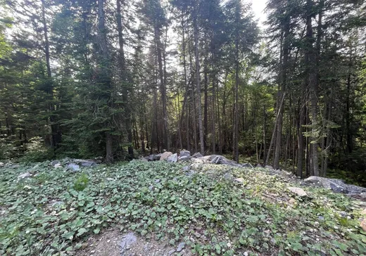 Land for Sale -  Ch. du Val-des-Monts, St-Adolphe d'Howard, J0T 2B0