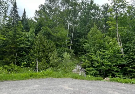 Land for Sale -  Ch. des Orignaux, Ste-Anne-Des-Lacs, J0R 1B0