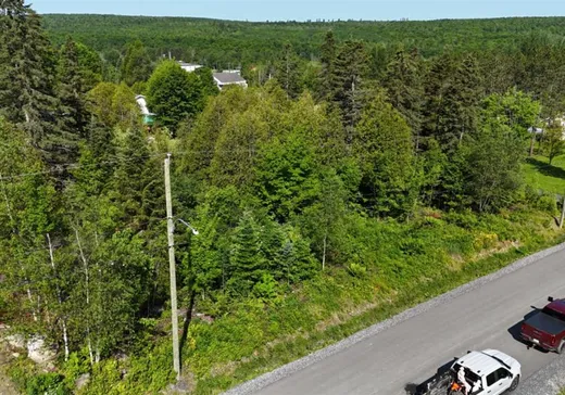 Terrain à vendre -  11e Avenue N., St-Gedeon-De-Beauce, G0M 1T0