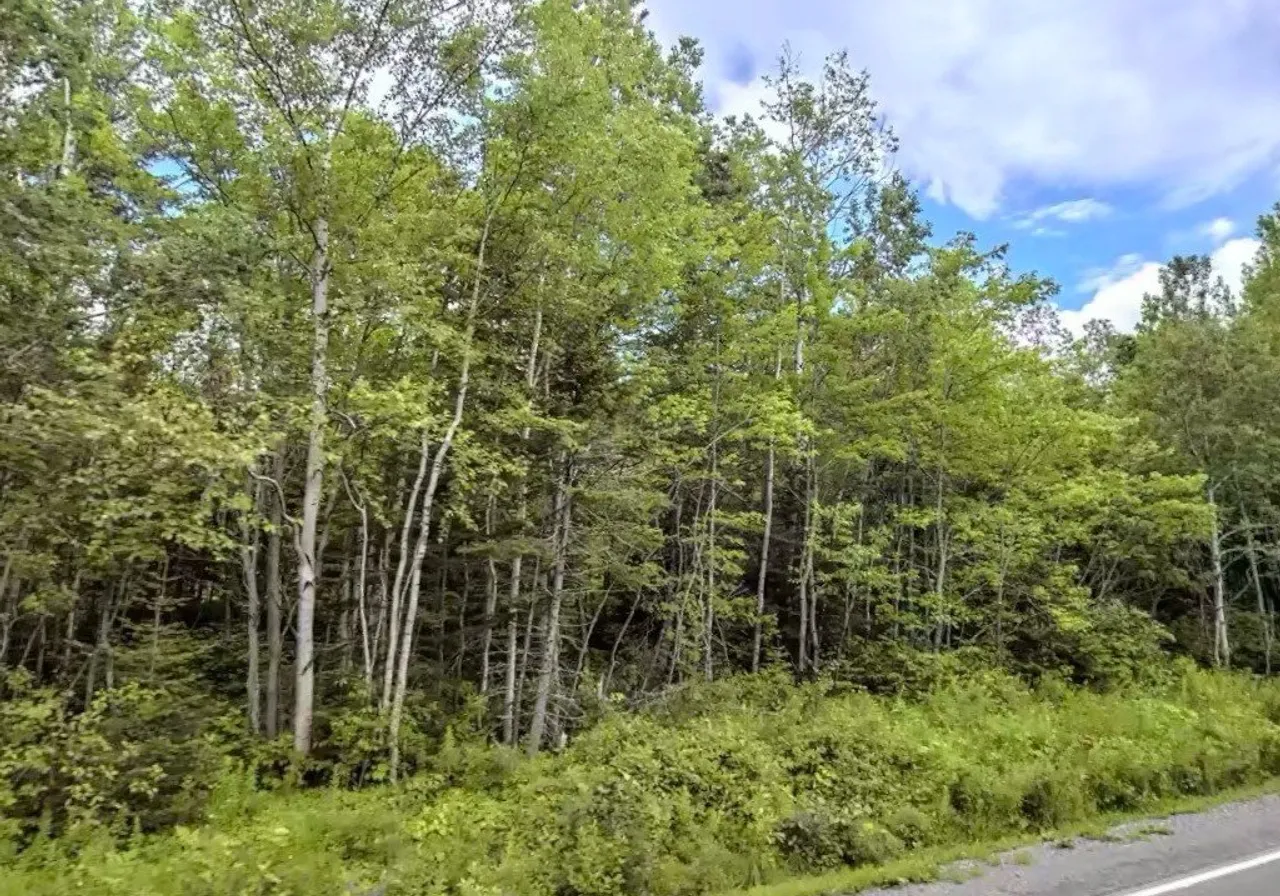 Route de St-Jogues — photo 2