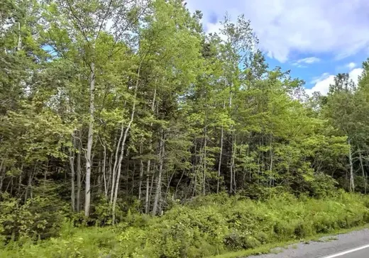 Land for Sale -  Route de St-Jogues, New Richmond, G0C 2Y0