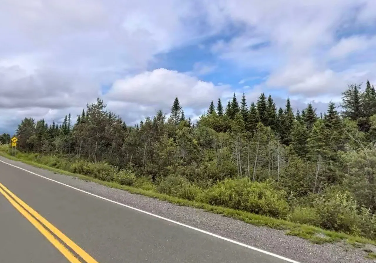 Route de St-Jogues — photo 3