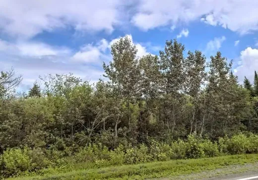 Land for Sale -  Route de St-Jogues, New Richmond, G0C 2Y0