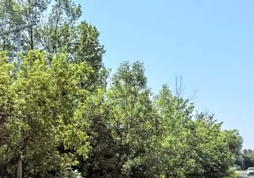 Terrain à vendre -  Rue Louis-Hébert, Mascouche, J7K 0R5