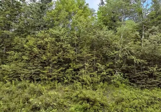 Terrain à vendre -  Rang 6, New Richmond, G0C2Y0