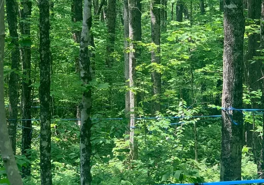 Land for sale -  9e Rang, Saint-Ludger, G0M1W0