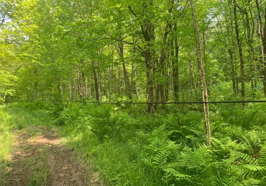 Land for Sale -  9e Rang, Saint-Ludger, G0M 1W0