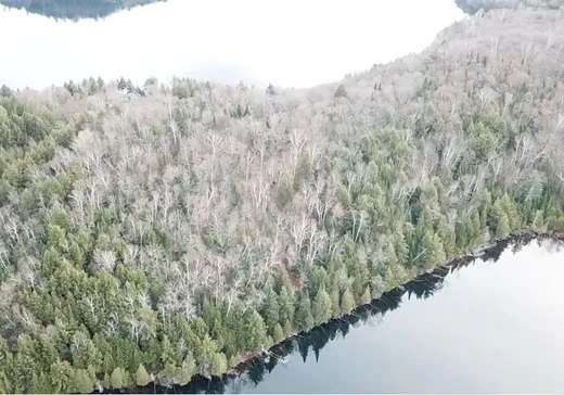 Terrain à vendre - 8 Route des Érables, Mont-Tremblant, J0T 1M0