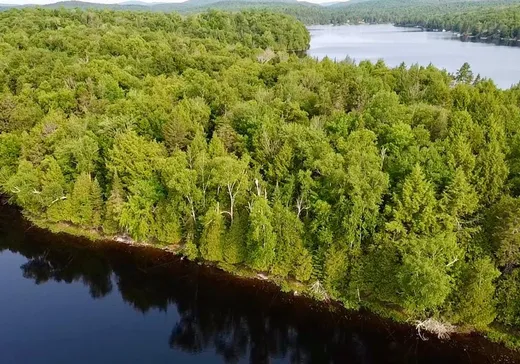 Terrain à vendre -  Ch. des Parulines, Nominingue, J0W 1R0