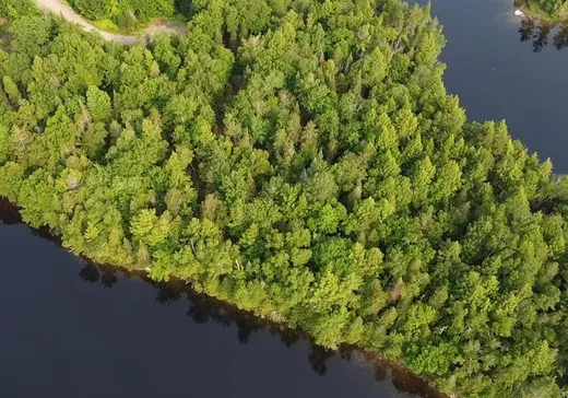 Terrain à vendre -  Ch. des Parulines, Nominingue, J0W 1R0
