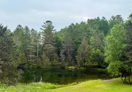Terrain à vendre - 4 Ch. de la Baie, Gracefield, J0X1W0