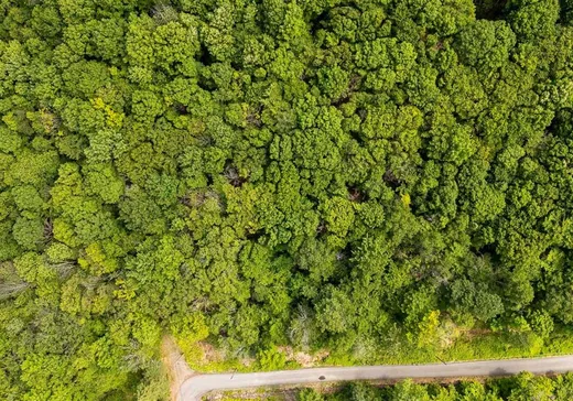 Land for Sale -  Ch. du Lac-Écho, Prévost, J0R 1T0