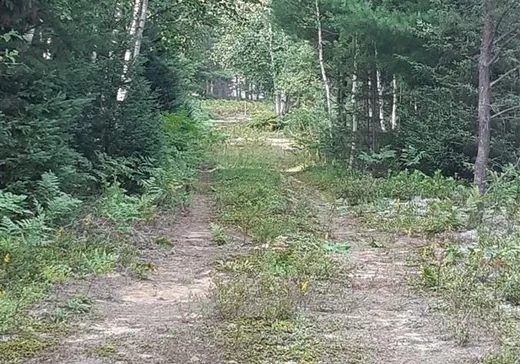 Land for Sale - 297 Ch. des Saules, L'Ascension, J0T 1W0