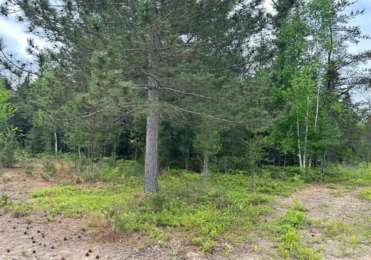 Land for Sale - 297 Ch. des Saules, L'Ascension, J0T 1W0