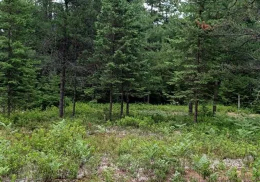 Land for Sale - 297 Ch. des Saules, L'Ascension, J0T 1W0