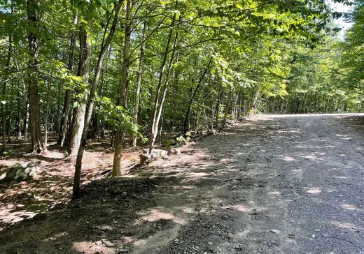 Land for Sale -  Rue des Mésanges, Brownsburg-Chatham, J8G 2M6