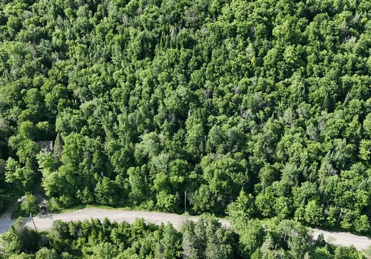 Terrain à vendre -  Mtée Gagnon, Val David, J0T2N0