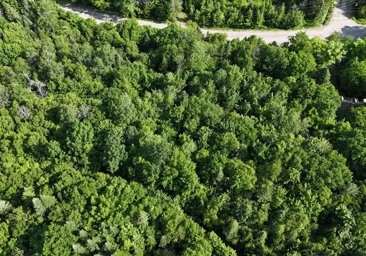 Terrain à vendre -  Mtée Gagnon, Val David, J0T 2N0