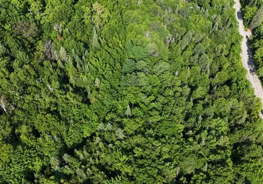 Terrain à vendre -  Mtée Gagnon, Val David, J0T 2N0