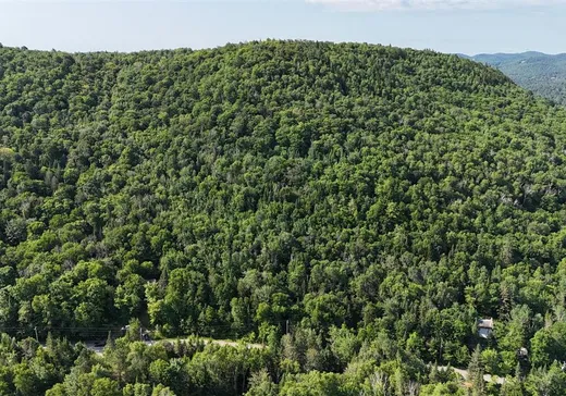 Terrain à vendre -  Mtée Gagnon, Val David, J0T 2N0