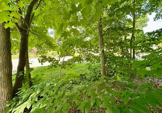 Land for Sale -  Rue Park, Brownsburg-Chatham, J8G 3A3