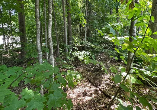 Land for Sale -  Rue Park, Brownsburg-Chatham, J8G 3A3