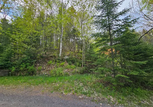 Terrain à vendre -  Mtée Rosa, Sainte-Agathe-des-Monts, J8C 0T6