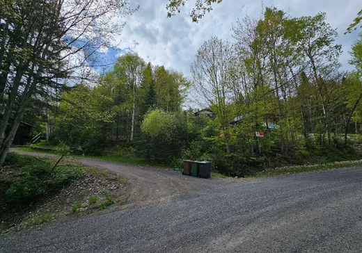 Terrain à vendre -  Mtée Rosa, Sainte-Agathe-des-Monts, J8C 0T6